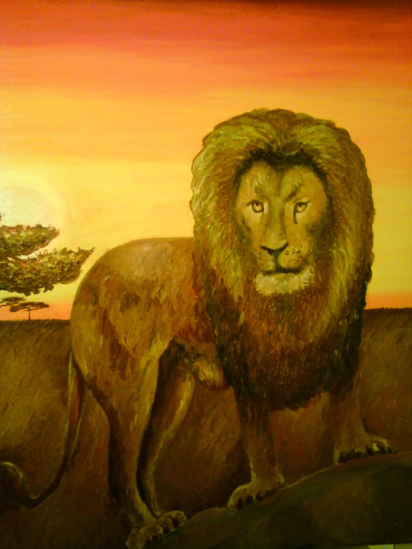 Afrika - lion